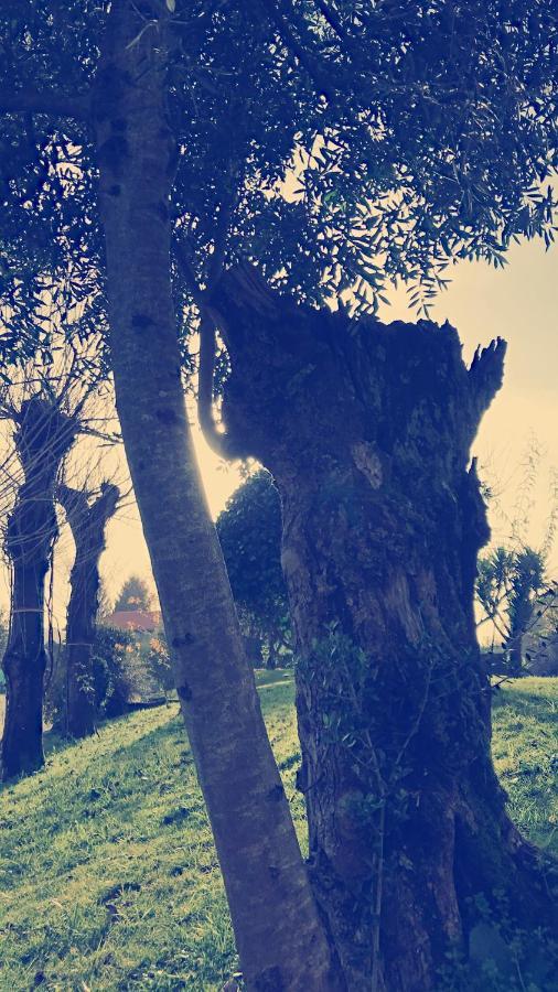Casal Da Batoca Nature House Fafe Exterior foto